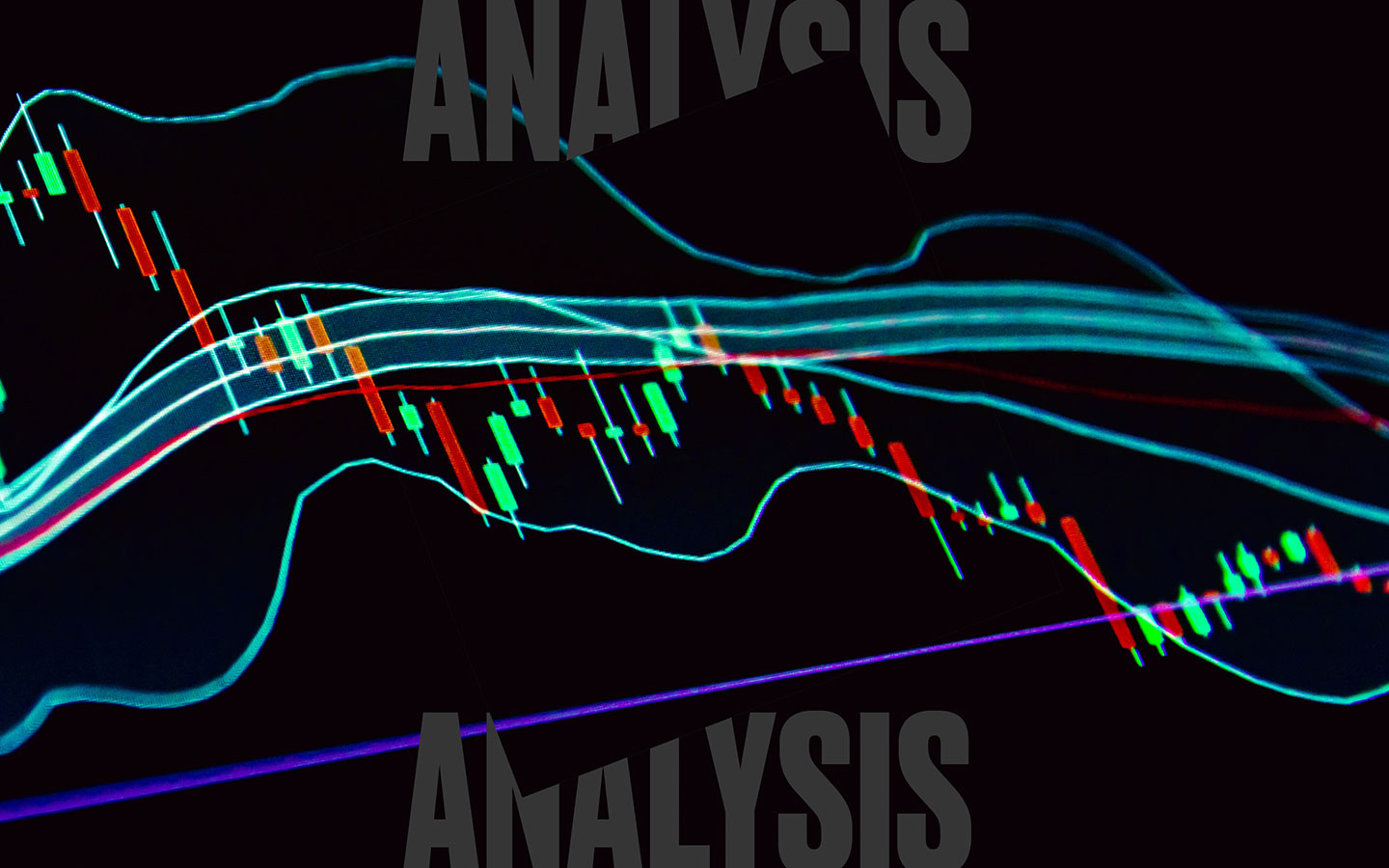 U.S. Retail Investor: Insights & Implications